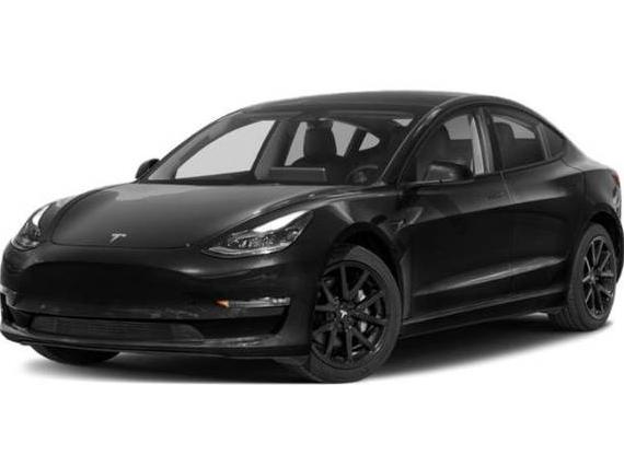 TESLA MODEL 3 2023 5YJ3E1EA5PF427742 image